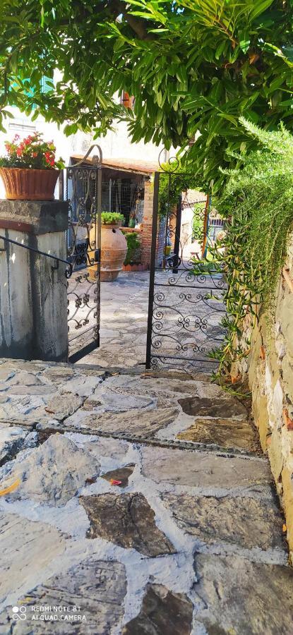 La Stanza Del Sole Guest House Matraia Exterior photo